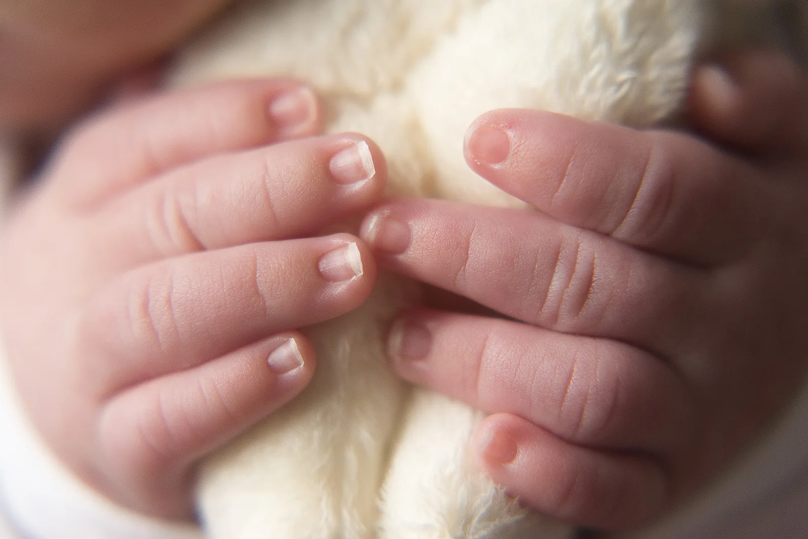 Ensaio Newborn foto 38